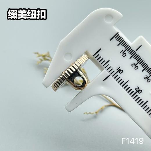 F1419(整包购买) 商品图4