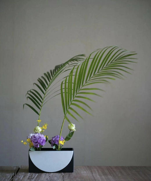 散尾  10支/扎 商品图0