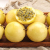 【下单后48小时发货】福建漳州 钦蜜9号 黄金百香果3斤装左右大果（约18-23个左右） 商品缩略图5