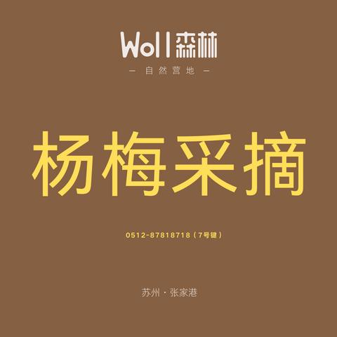 杨梅采摘 | 张家港Woll森林自然营地 商品图0