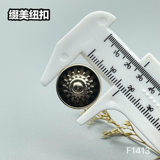 F1413(整包购买) 商品图3