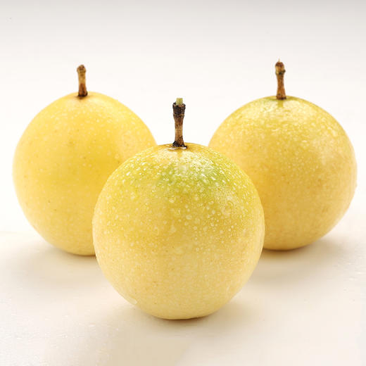 【下单后48小时发货】福建漳州 钦蜜9号 黄金百香果3斤装左右大果（约18-23个左右） 商品图13