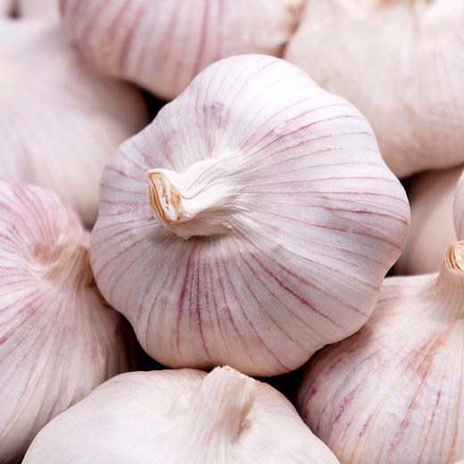 优选蒜头约250g 商品图2