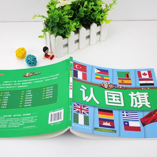 (仓发) 童眼识天下——认国旗/化学工业出版社/童心/9787122319616 商品图2