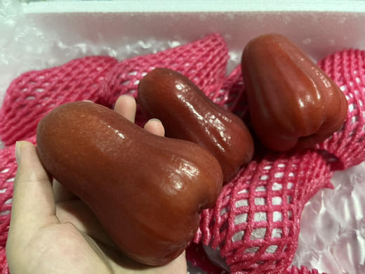 海南补水莲雾特大果，脆爽多汁，清脆爽甜 商品图3