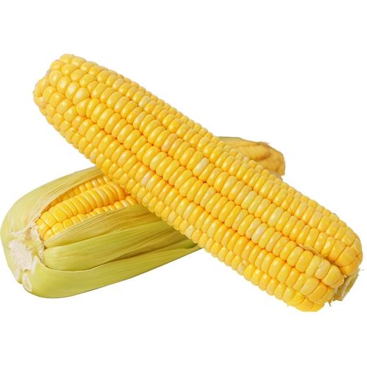 优选玉米2根 约500g 商品图0