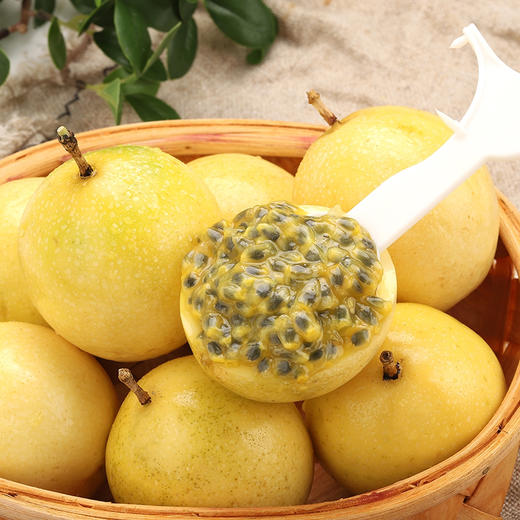 【下单后48小时发货】福建漳州 钦蜜9号 黄金百香果3斤装左右大果（约18-23个左右） 商品图10