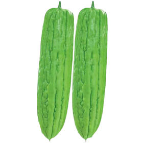 优选苦瓜 约500g