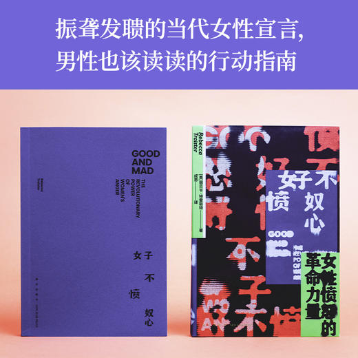 《好不愤怒：女性愤怒的革命力量》获奖无数的当代女性宣言！ 商品图1