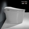 德国汉倍WH-650智能马桶除菌抗菌即热式感应冲水全自动一体式坐便器 商品缩略图5