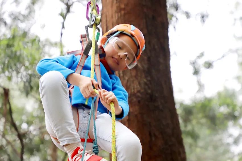 2025秋冬季攀树运动体验