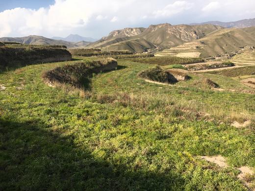 丨仿野生丨黄芪，当归，党参 收到请冷冻保存 商品图7