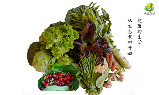 蔬菜采摘服务费（采摘+包装） 商品图1