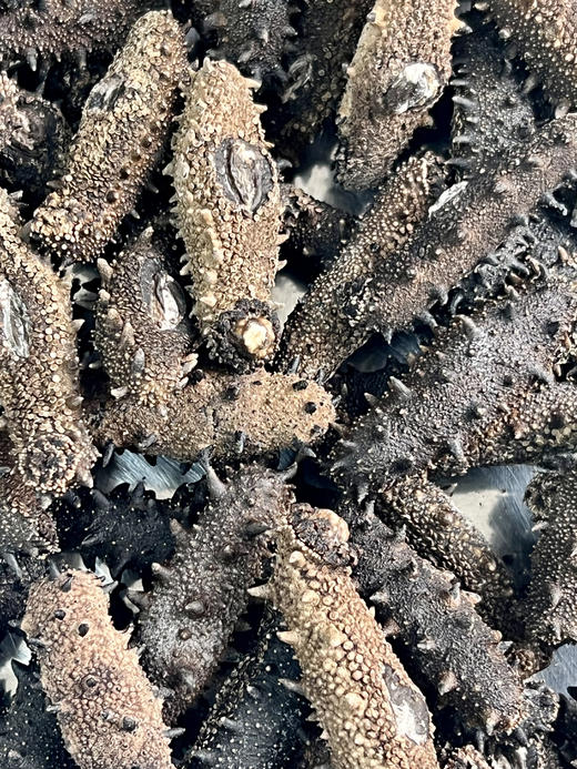 真正无添加 深海纯野生海参 纯淡干 泡发后会惊掉下巴 海参的水再深 有百里把控 把心放肚子里  |百里食 商品图6