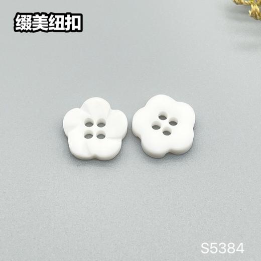 S5384(整包购买) 商品图2