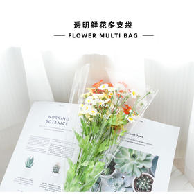 英文透明鲜花多支袋