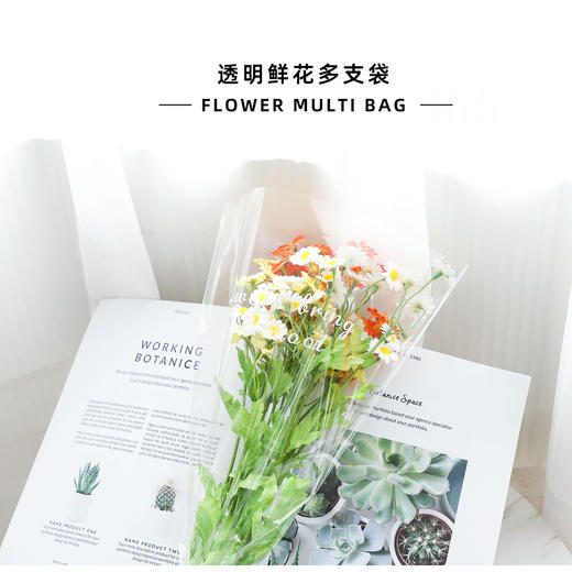 英文透明鲜花多支袋 商品图0