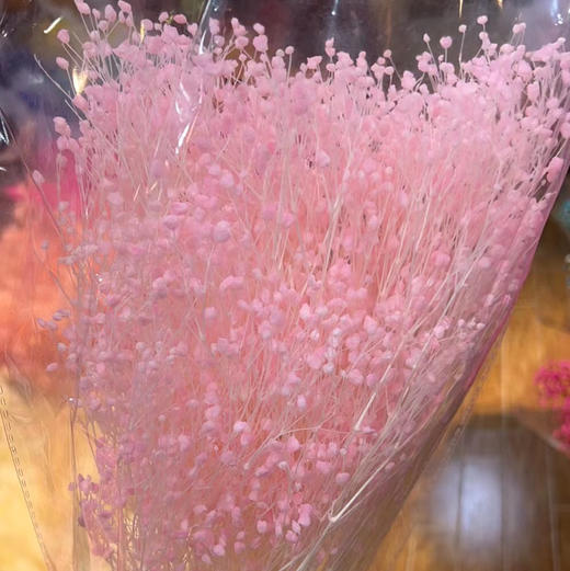 徽上云花--永生-梦幻星 商品图0