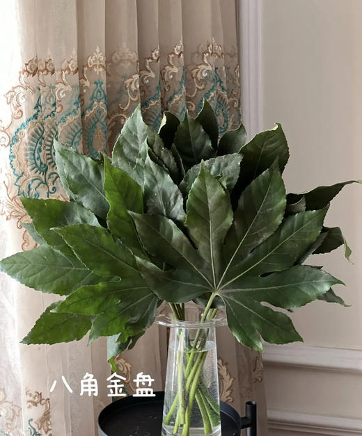 八角叶（八角金盘）约10片/扎 商品图3
