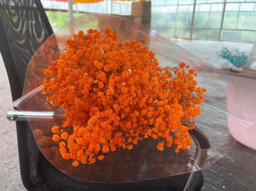 永生~满天星 商品图7