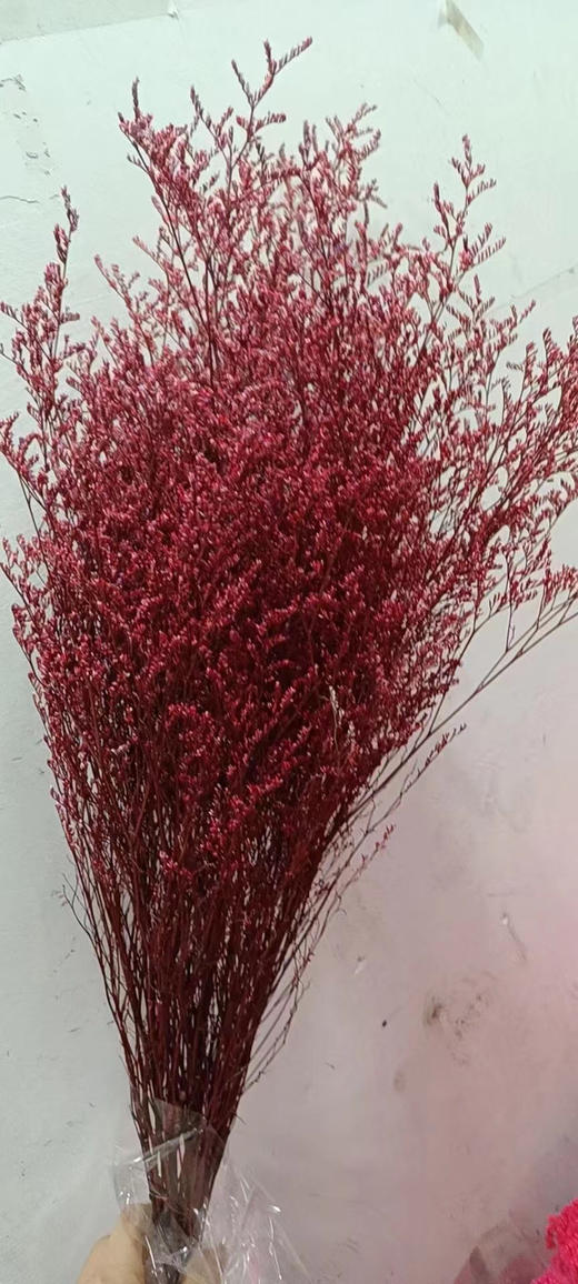 永生~情人草（120克） 商品图1