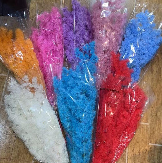 永生~蓬莱松 商品图0