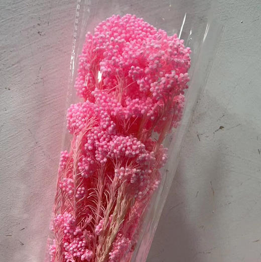 永生花~漂色米花 商品图3