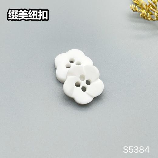 S5384(整包购买) 商品图4