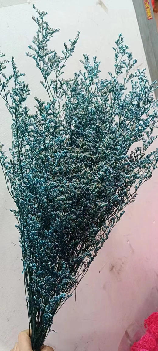 永生~情人草（120克） 商品图2