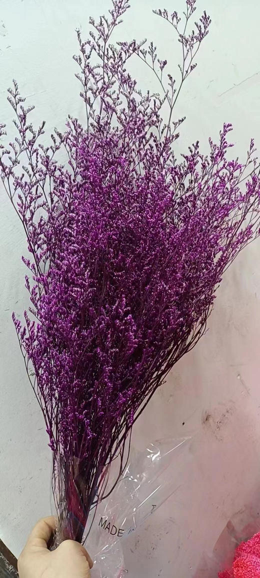 永生~情人草（120克） 商品图5