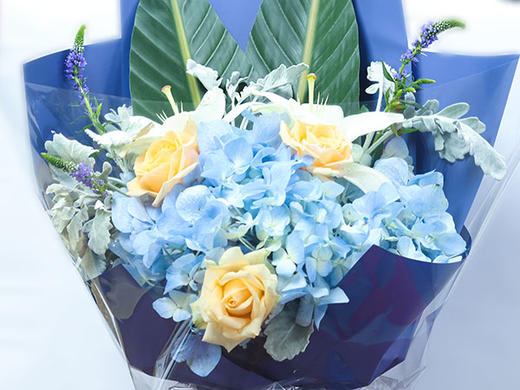 父亲节-春日的暖阳(订单满88元，付款界面加购只需68元） 商品图0