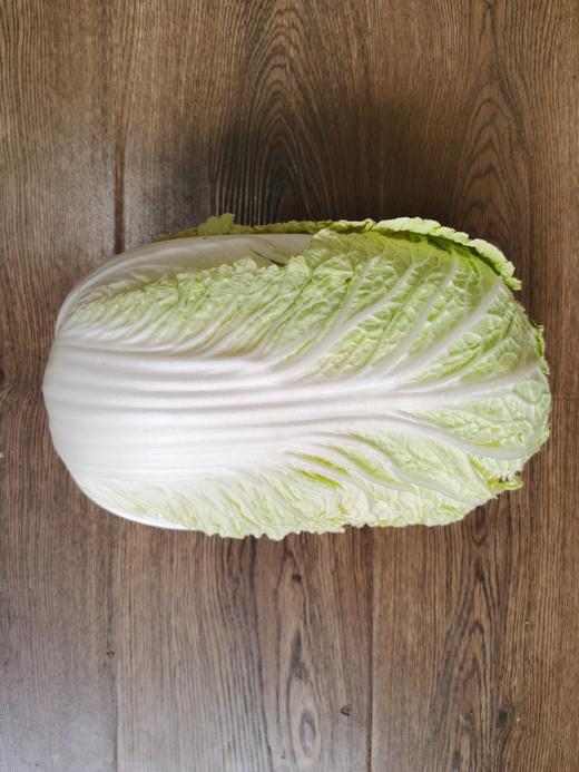 大白菜3-5斤一个 商品图0