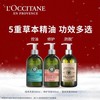 L'OCCITANE/欧舒丹 草本精华修护洗发露300-500ML 商品缩略图2