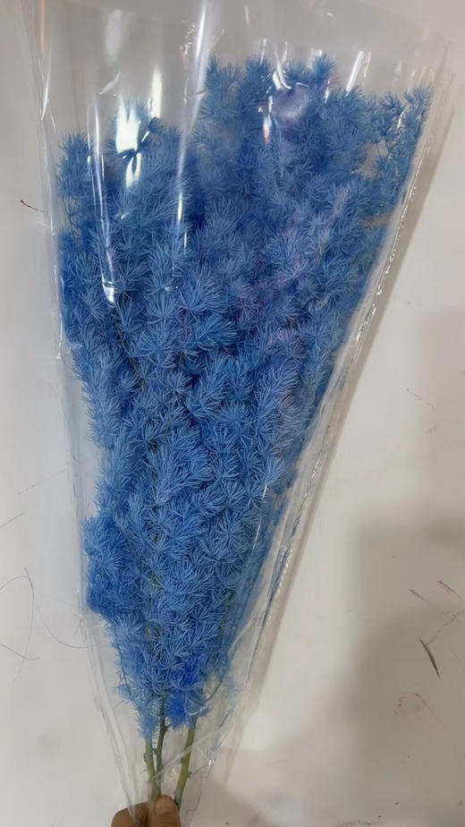 永生~蓬莱松 商品图4