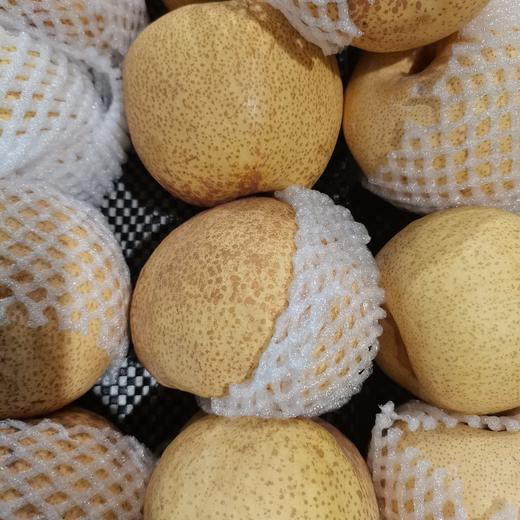 精品冰糖心苹果 商品图0