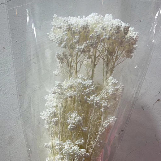永生花~漂色米花 商品图4