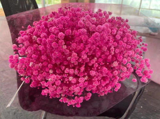 永生~满天星 商品图2