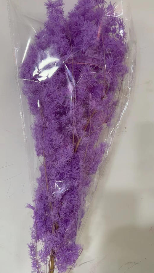 永生~蓬莱松 商品图6