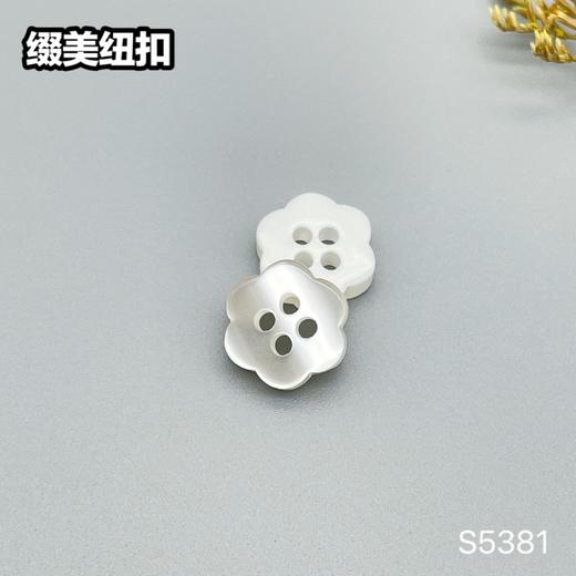 S5381(整包购买) 商品图3