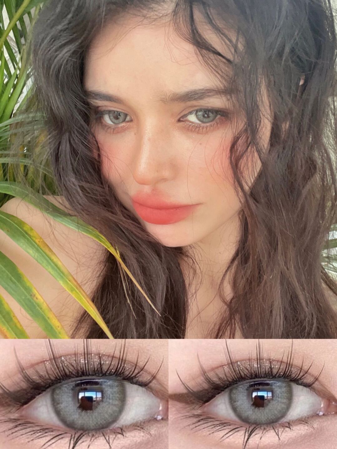 (年抛) 野茉莉 CocoCon  中直径14.2 着色13.3  (同品牌多副更划算 选款色板在详情页内) 混血美瞳 亚裔风