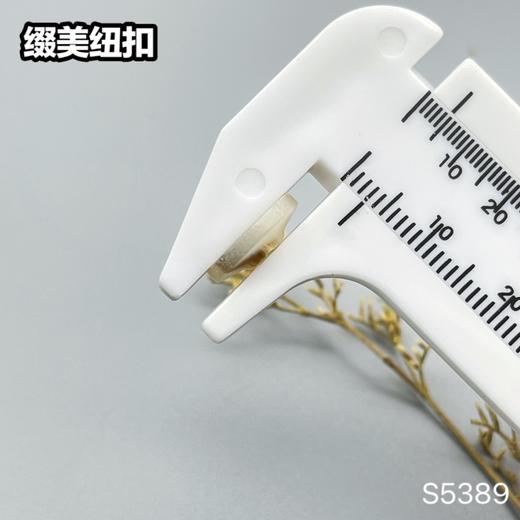 S5389(整包购买) 商品图5