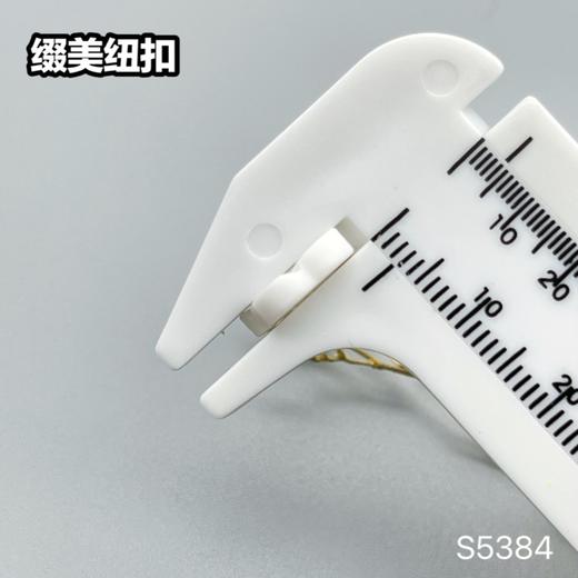 S5384(整包购买) 商品图6