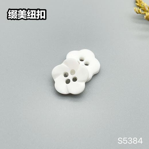 S5384(整包购买) 商品图3