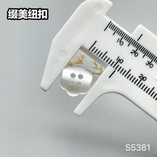 S5381(整包购买) 商品图5