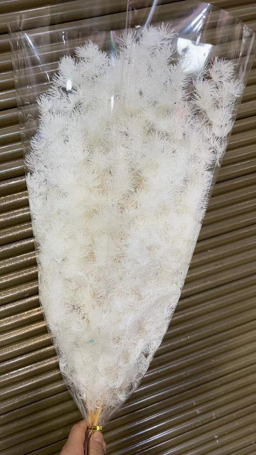 永生~蓬莱松 商品图1