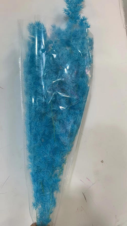 永生~蓬莱松 商品图5