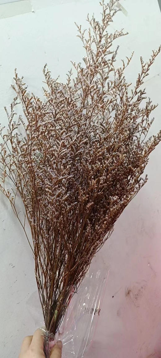 永生~情人草（120克） 商品图6