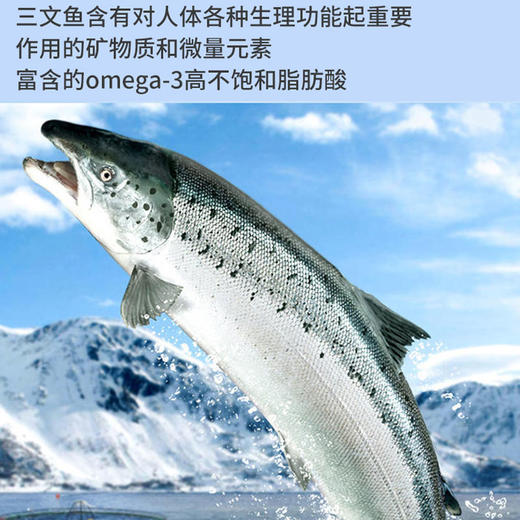 三文鱼段410±20g/袋 （智利） 商品图4