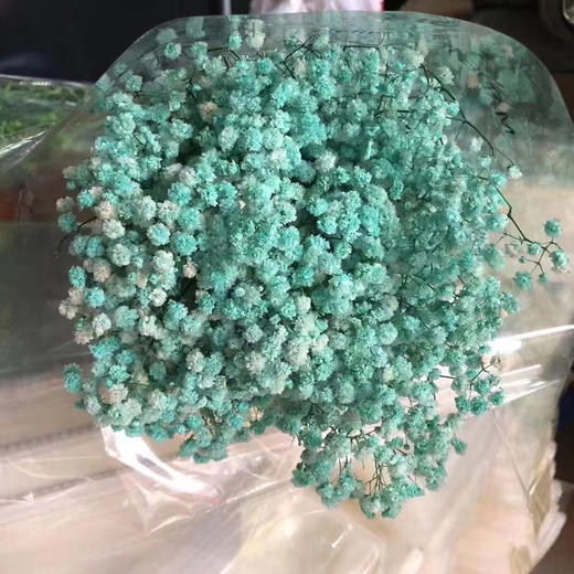 永生~满天星 商品图3