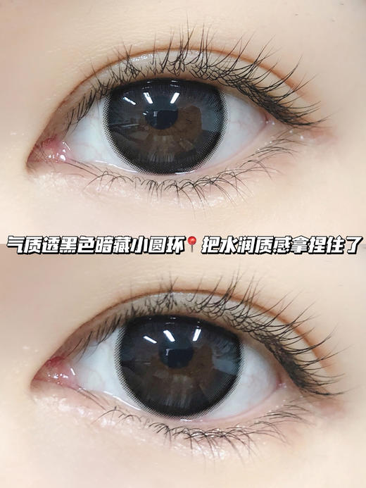 K05 香叶乌龙<含非离子>月抛型 商品图0